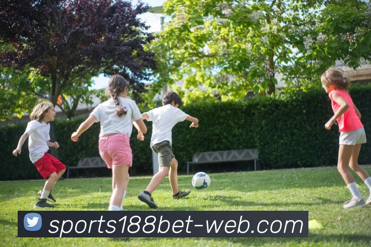 188bet体育平台生态图