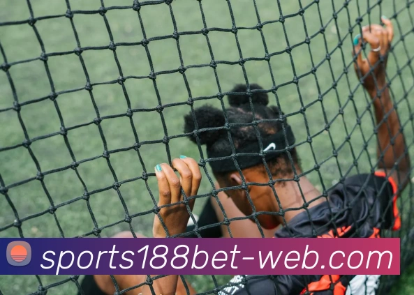 188bet体育APP 封面图